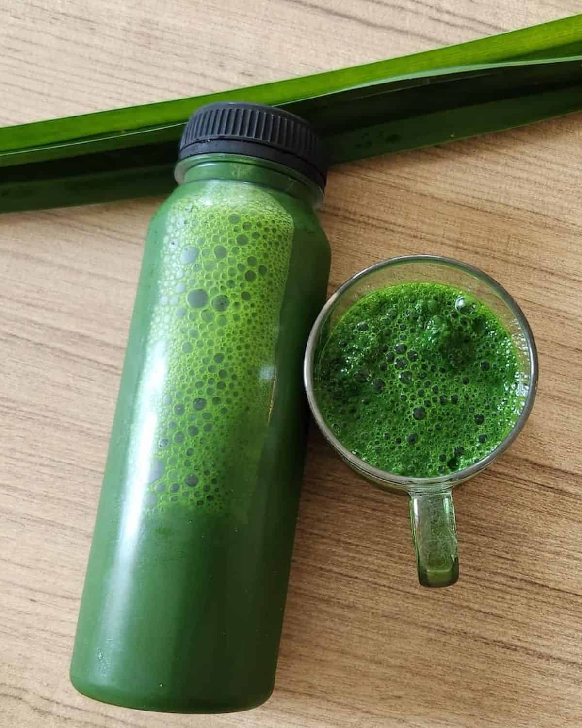 Pandan extract in a plastic bottle with a small cup of pandan essence and pandan leaves next to it.