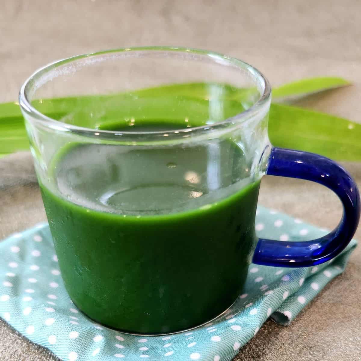 Pandan extract in a small cup on a table with pandan leaves at the background.