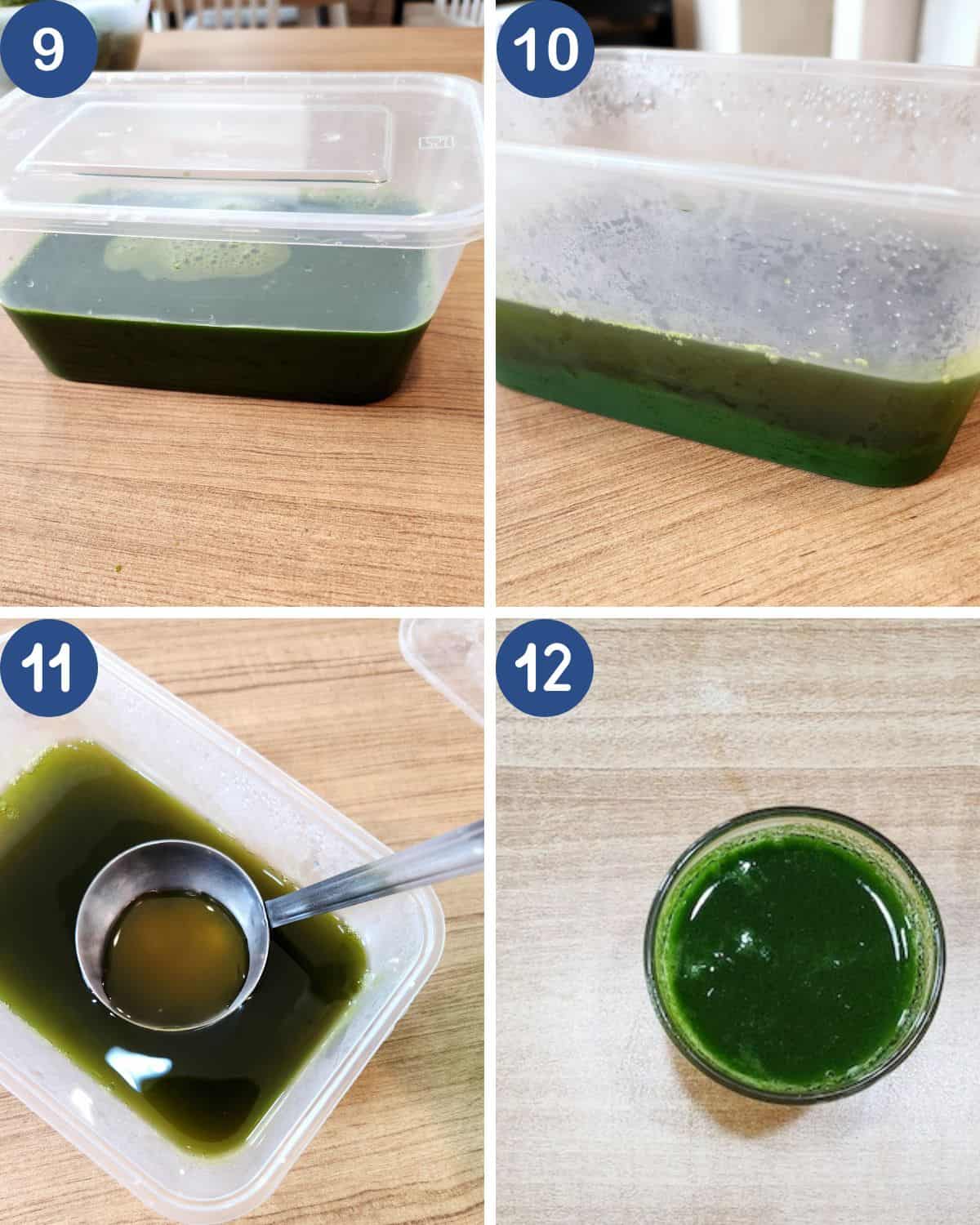 Photo collage of taking the water out of the pandan juice.