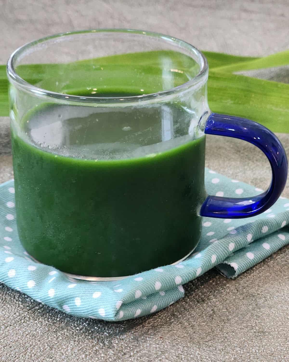 A small glass of pandan extract with pandan leaves at the background.