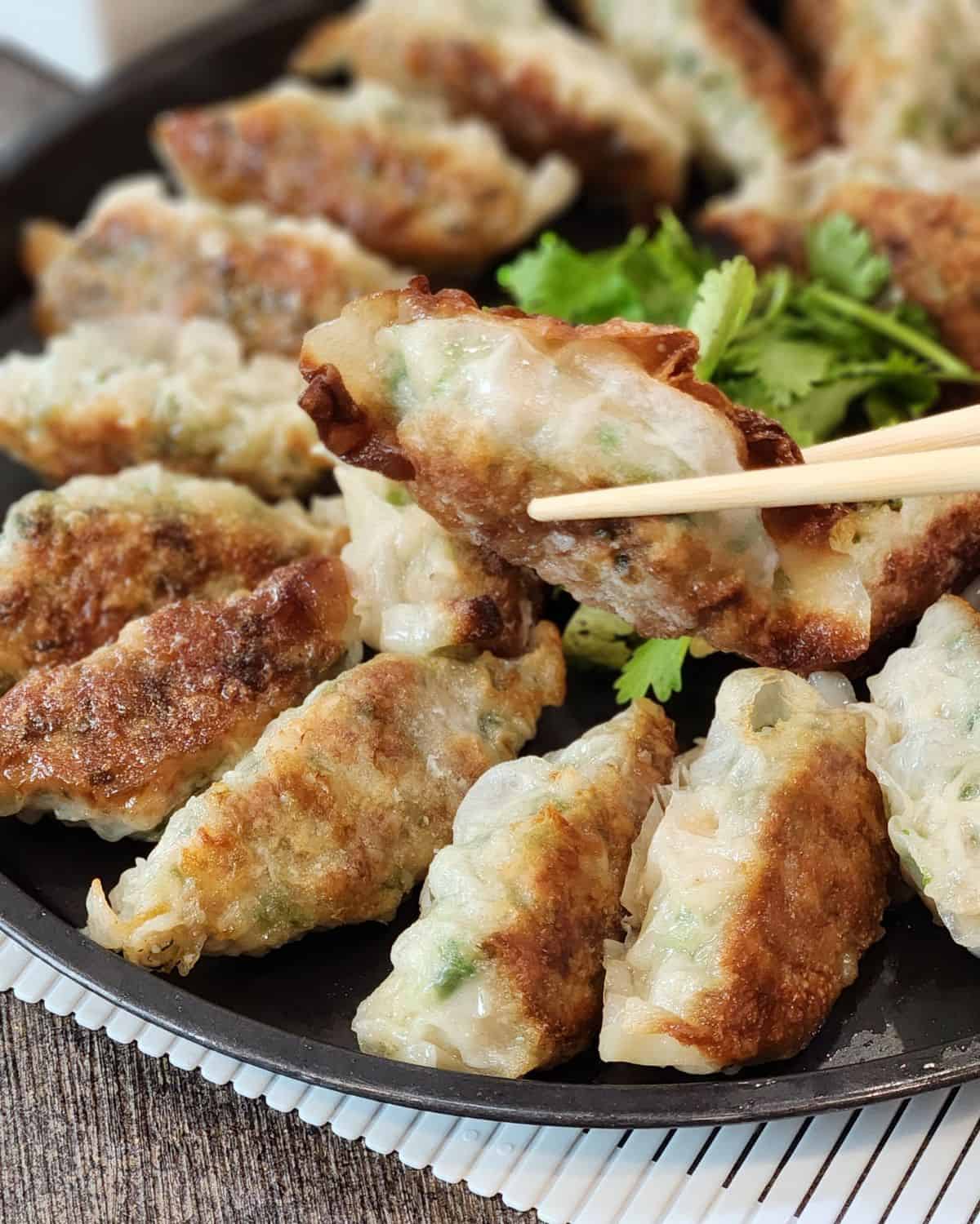 A pair of chopsticks holding a chicken gyoza.
