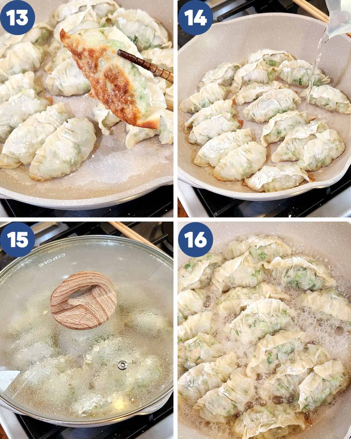 Step by step process of cooking and frying the potstickers.