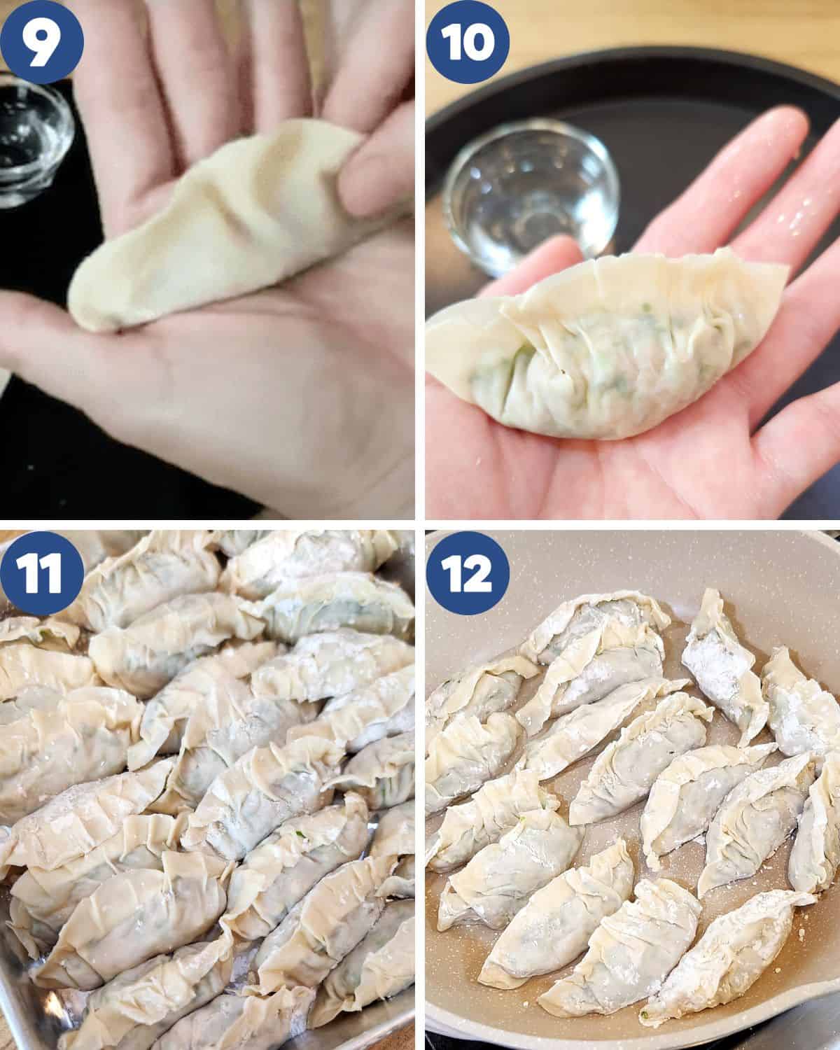Folding chicken shrimp gyoza into pleats and cooking them.