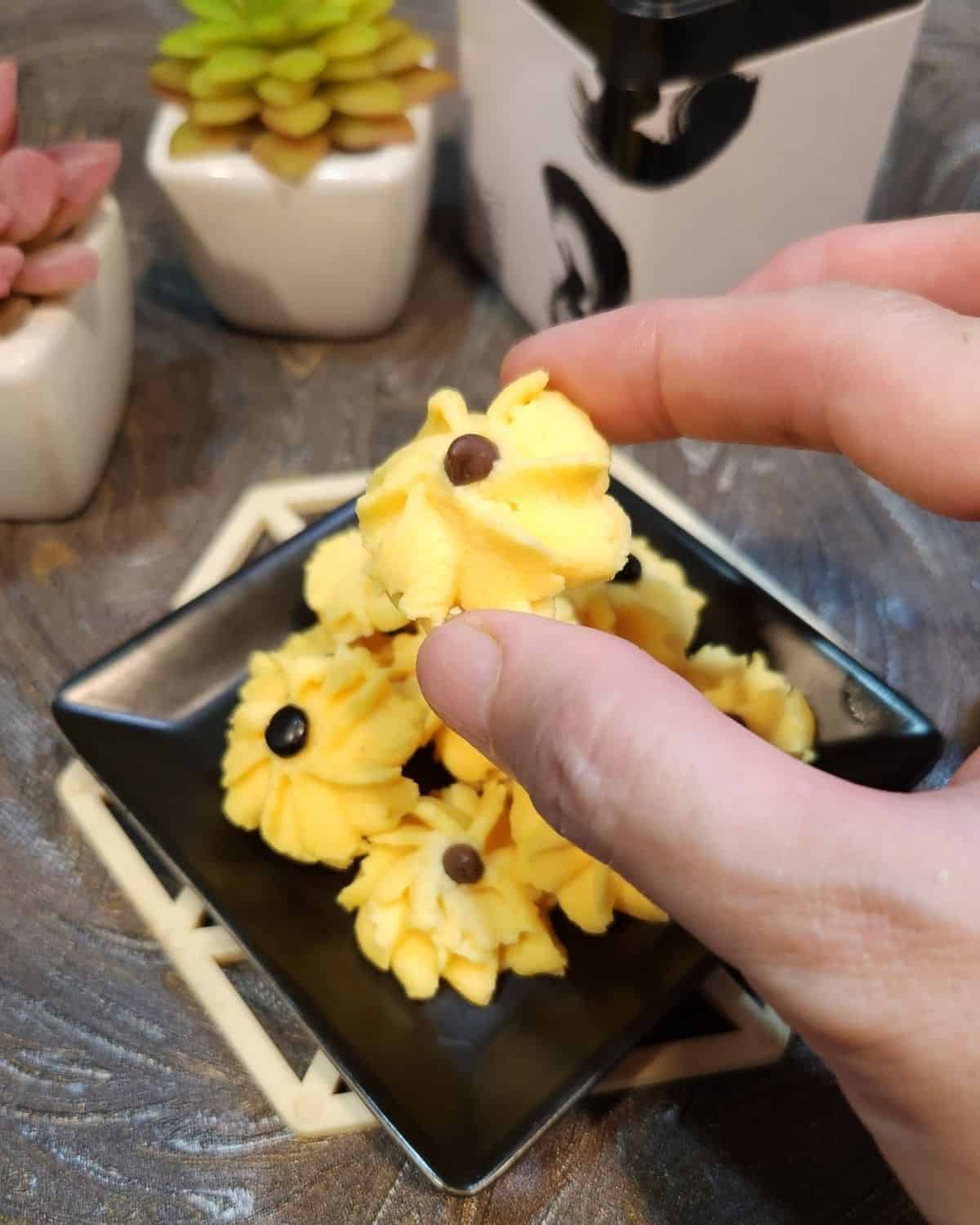 A hand holding a custard cookies.