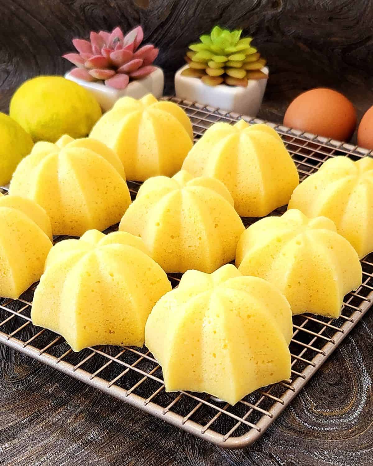 Mini Lemon Steamed Cakes on a cooling rack with small plants at the back.
