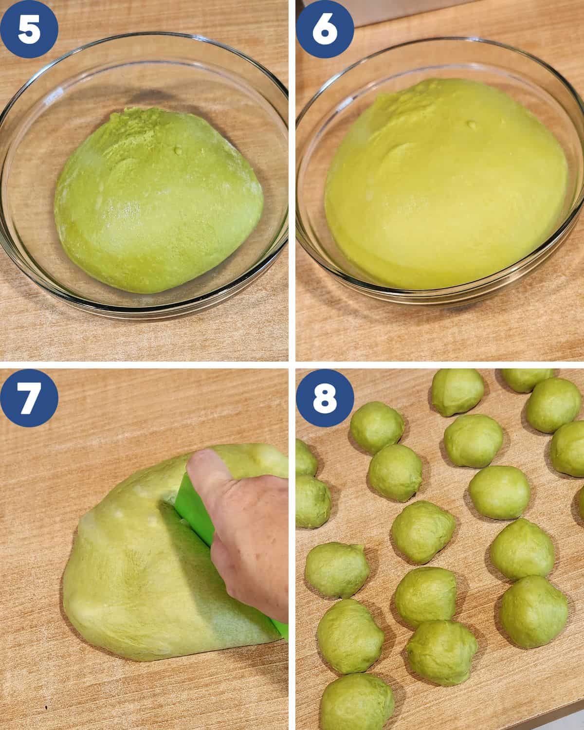Step by step process photos of fermenting the pandan dough and dividing the dough.
