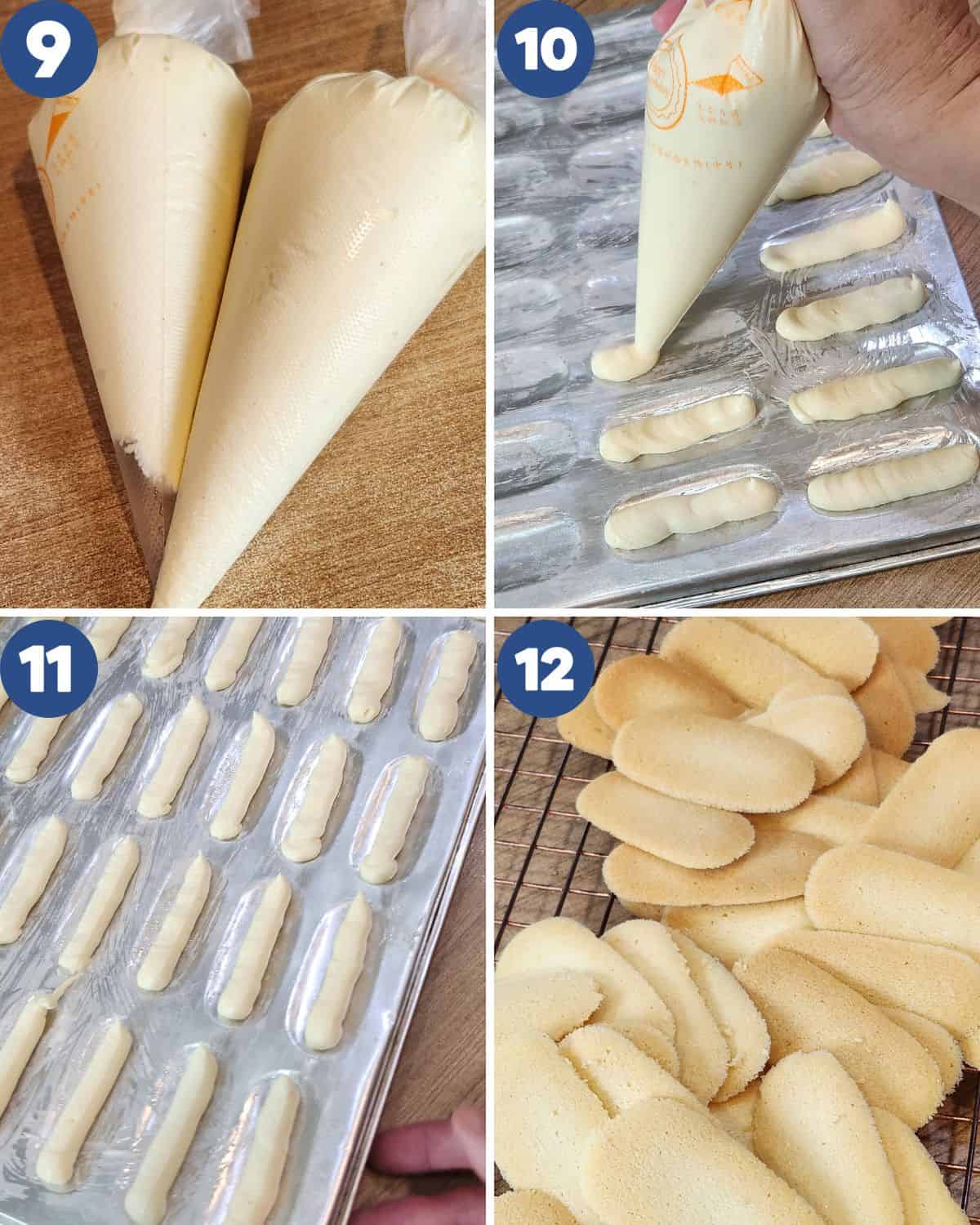 Step by step photos of piping the cat tongue cookies.