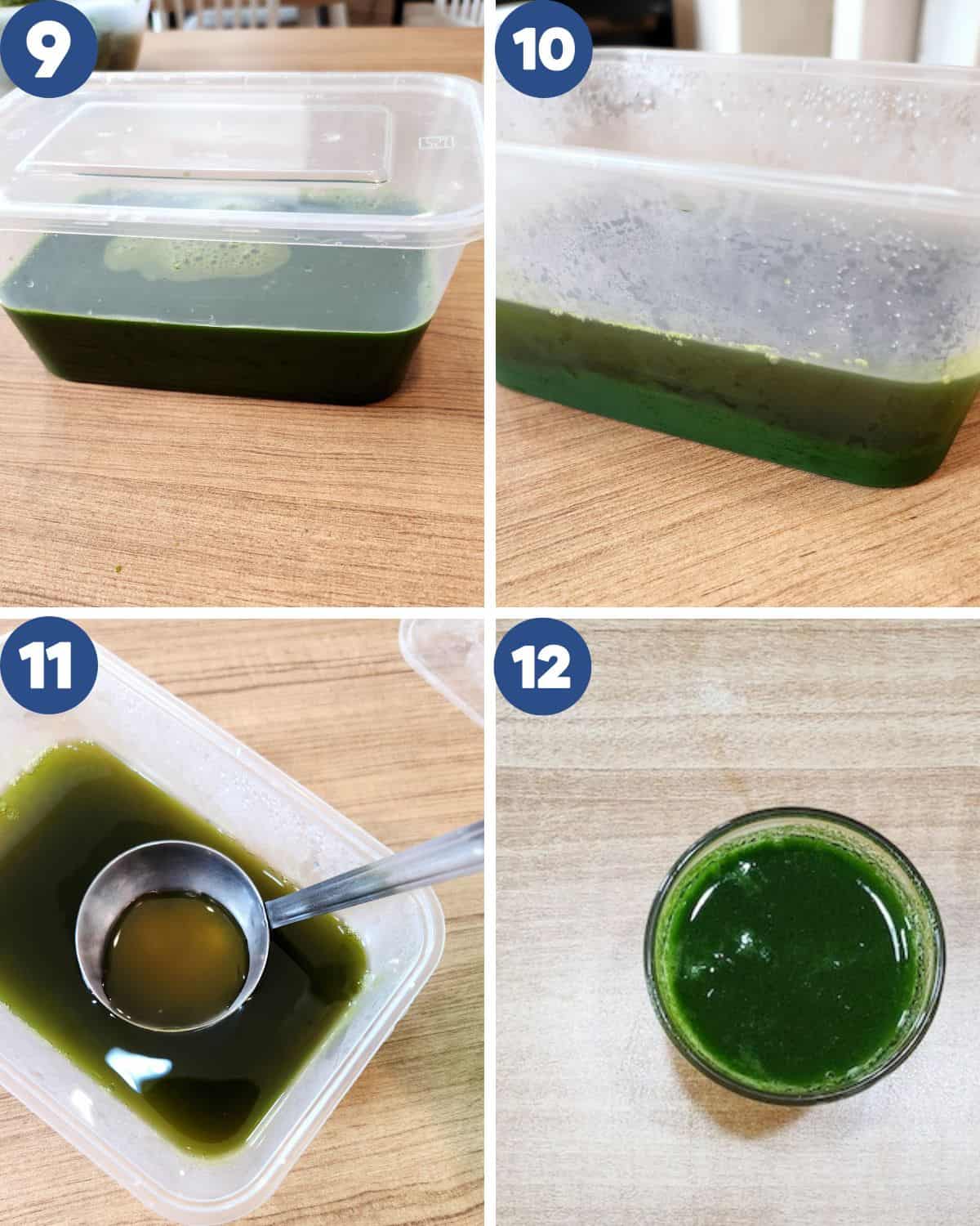 Step by step photos of getting the pandan extract from the juice.