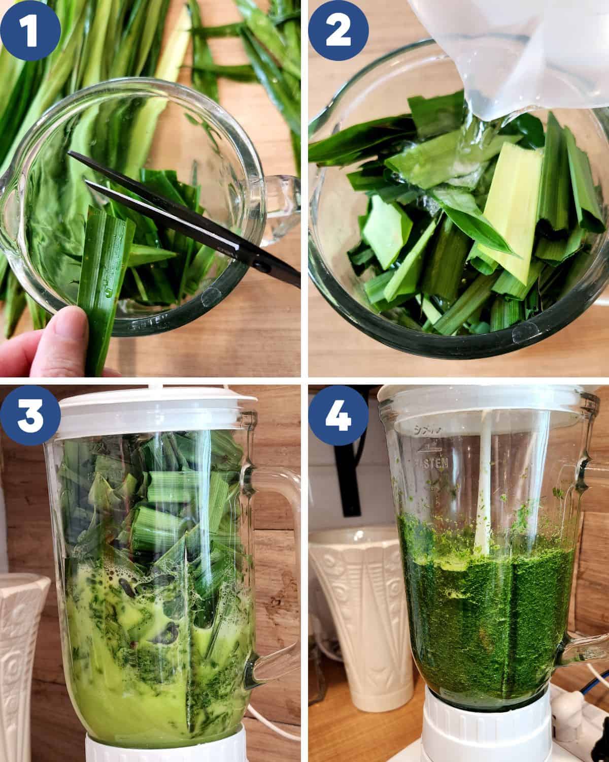 Step by step photos of preparing pandan and suji leaves for processing.