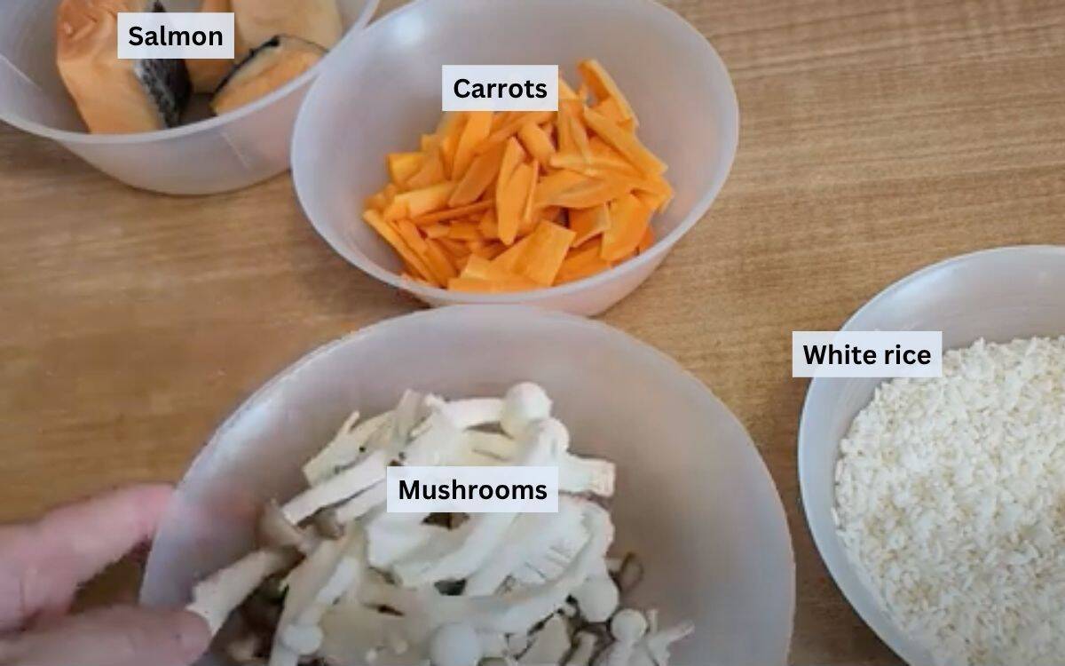 Salmon and rice recipe ingredients with labels.