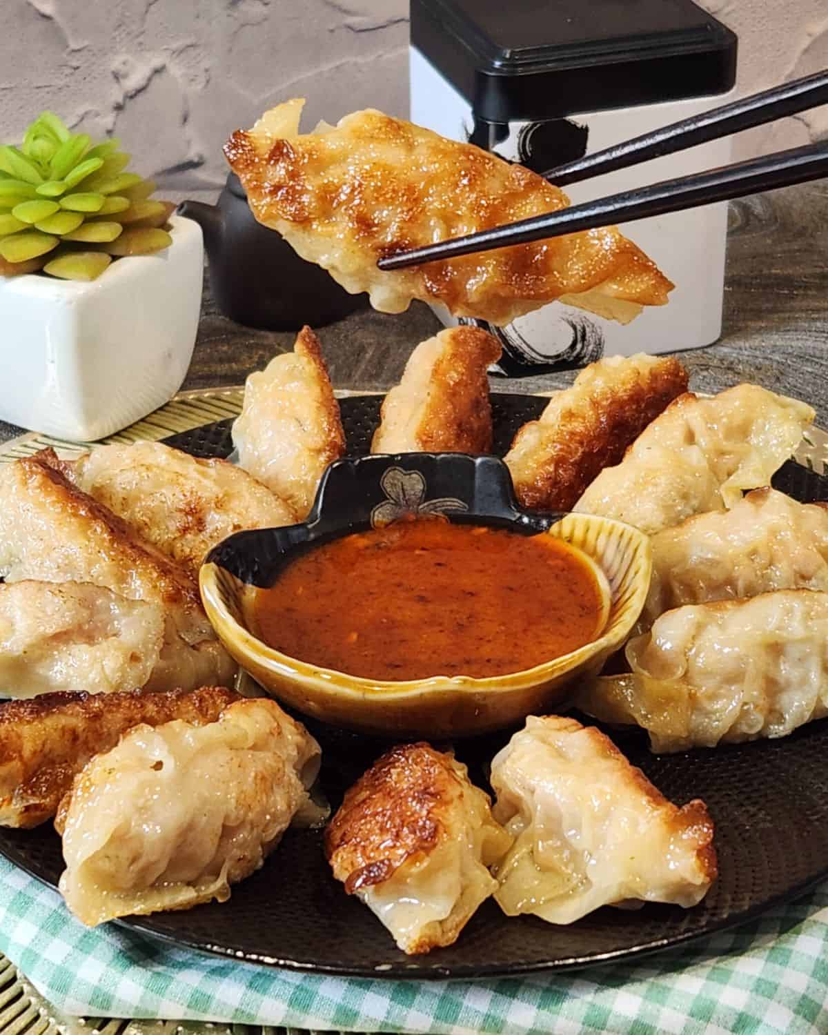 A pair of chopsticks holding a chicken shrimp gyoza.