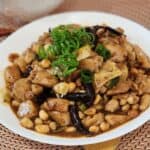 A plate of Kung Pao Chicken or Gong Bao Ji Ding garnished with green onion.