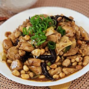 A plate of Kung Pao Chicken or Gong Bao Ji Ding garnished with green onion.